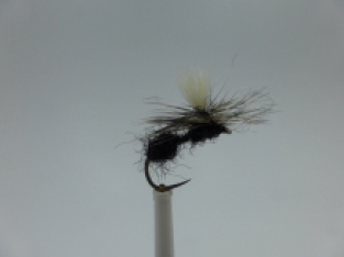 Size 18 Black Ant Parachute barbless