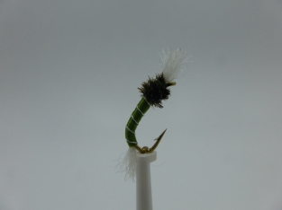 Size 16 Buzzer Olive