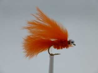 Size 10 Cats Whisker Orange