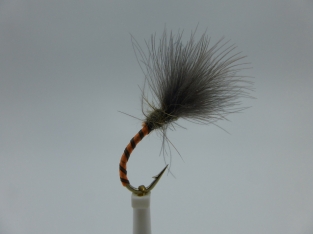 Size 14 Owl Orange CDC barbless