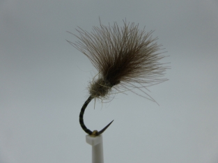Size 14 Owl Olive CDC