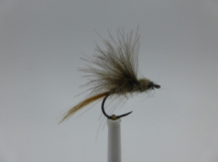Size 12  A&M CDC Natural Barbless