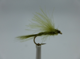 Size 12 Split Wing CDC Olive