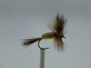 Size 10 Humphy Yellow