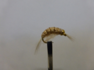 Size 10 Gammarus Bead Head Tan