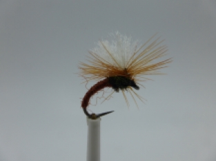 Size 12 Klinkhamer Brown barbless