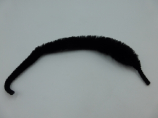 Magnum Dragon Tail  Black