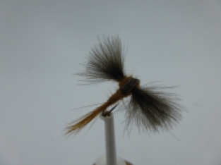 Size 10 CDC Mayfly Brown Barbless