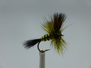 Size 16 Green Drake Wulff