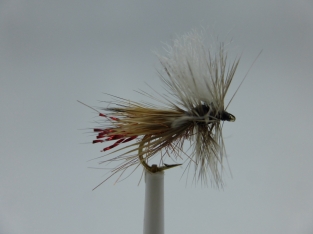 Size 10 Fatal Attractor Brown