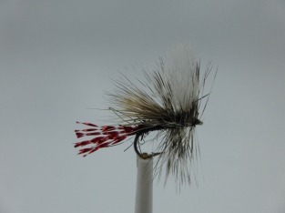 Size 16 Fatal Attractor Black