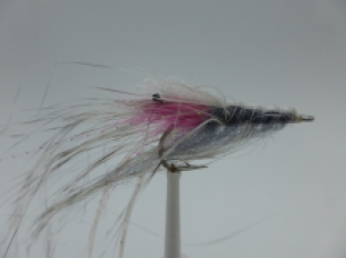 Size 4 Pattegrisen Grizzly
