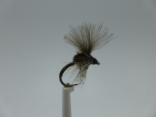 Size 16 Quill Body Natural CDC Emerger Barbless