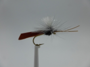 Size 10 Head light Caddis Para Tan