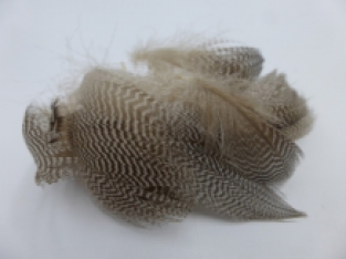 Mallard Flank Feathers  3 Gram