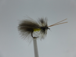 Size 12 High Rider Sedge Yellow CDC Barbless