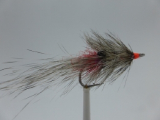 Size 8 Vaskebjørnen UV