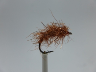 Size 6 Copperbassen
