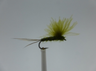 Size 16 CDC Upright  BWO Barbless