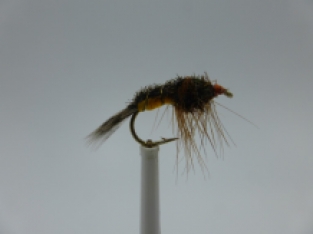 Size 16 Carrot Nymph