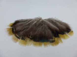 Pheasant Feathers Natural Brown Venery