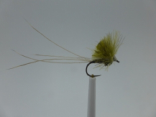 Size 12 CDC Upright Olive Barbless
