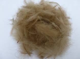 CDC Tan 2 Gramm