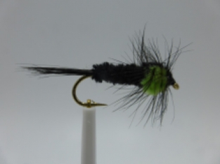 Size 12 Montana Chartreuse