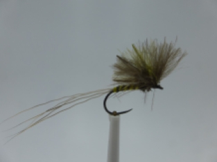 Size 14 CDC Upright Mixed Olive Barbless