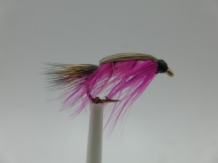 Size 14 Shrimp Dark Pink