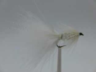 Size 12 Wooly bugger White Barbless