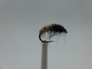 Size 16 Scud WTD Tan Barbless